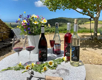 Bodega Etu-vinos
