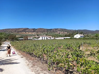 Bodega García Hidalgo