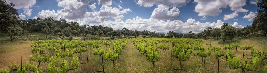 Bodega La Melonera