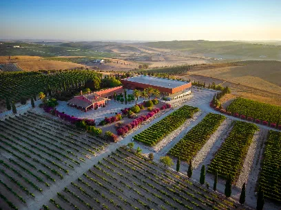Bodegas Luis Pérez