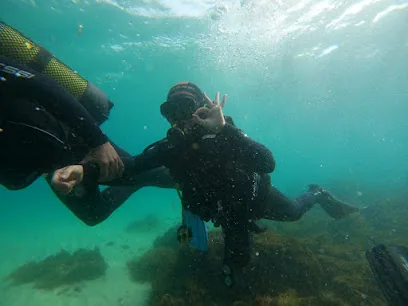Buddha divers