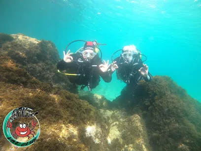 Centollo dive