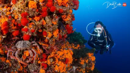 Centro de Buceo Burbujas