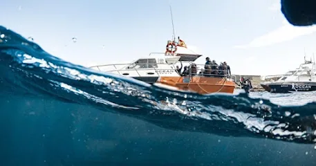 Centro de Buceo Ocean Addicts
