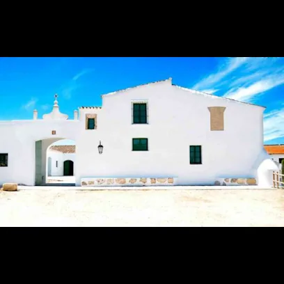 Cortijo de Jara Bodega, Viñas y Olivos
