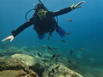 Diving with Nic