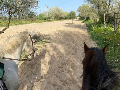 Doñana a Caballo