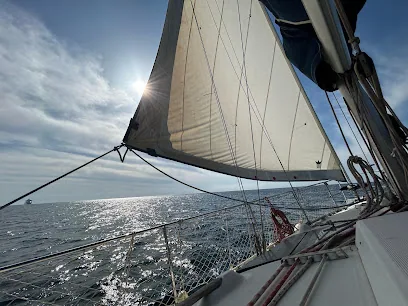 Federación de vela Málaga