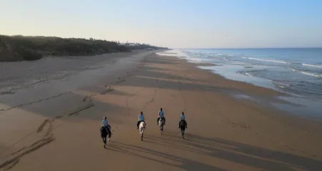 Finca Cerrillo - Reiturlaub & ausreiten in Andalusien
