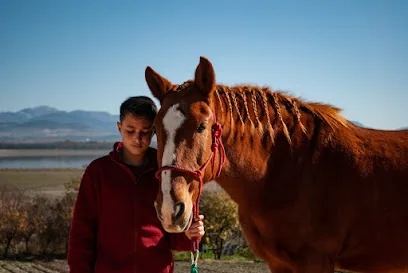 La Alegría - Experiencias a caballo