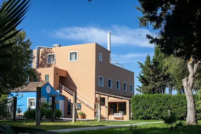 Nexo Surfhouse & Surfcamp in Andalusia