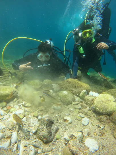 Tanger Med Diving Center 2